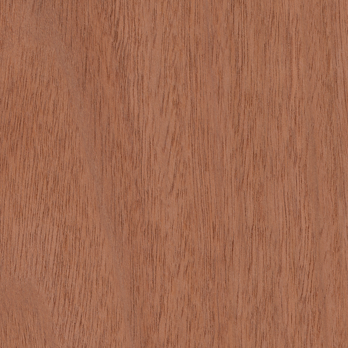 Light Jarrah